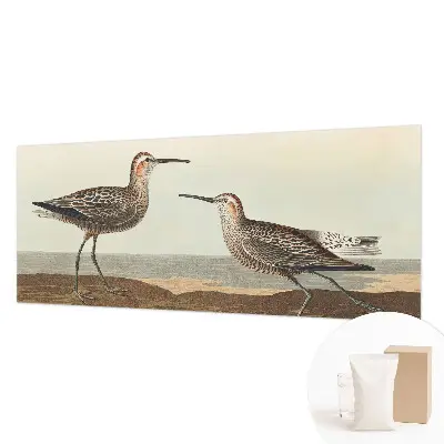 Groot fotobehang met silhouetten van vogels