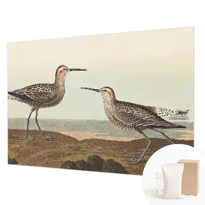 Groot fotobehang met silhouetten van vogels