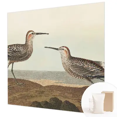 Groot fotobehang met silhouetten van vogels
