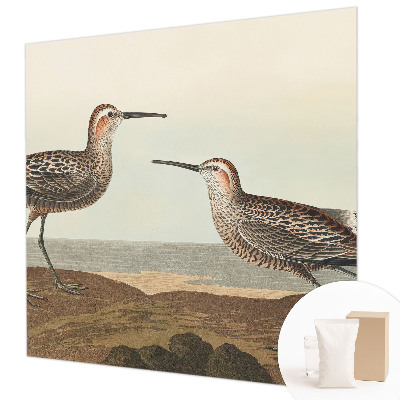 Groot fotobehang Silhouetten van vogels
