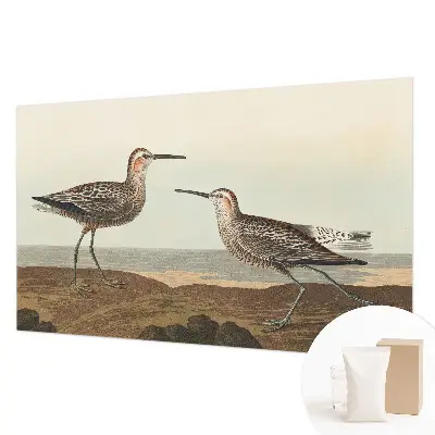 Groot fotobehang met silhouetten van vogels