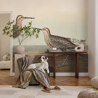 Groot fotobehang Silhouetten van vogels