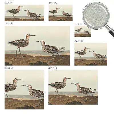 Groot fotobehang met silhouetten van vogels