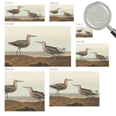 Groot fotobehang Silhouetten van vogels