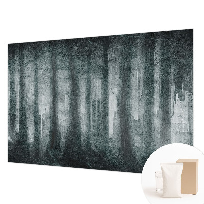 Hoogwaardig fotobehang Mysterieus bos