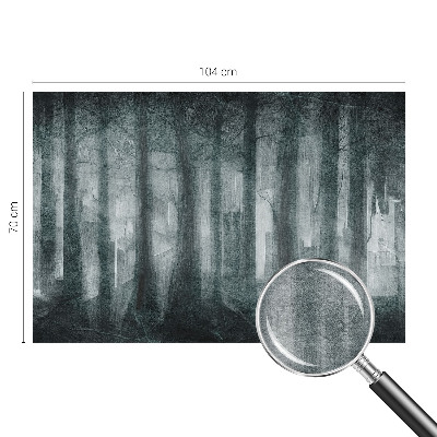 Hoogwaardig fotobehang Mysterieus bos