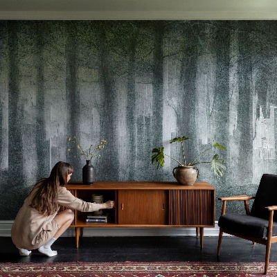 Hoogwaardig fotobehang Mysterieus bos