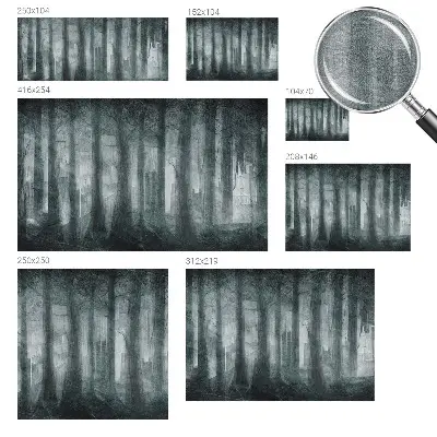 Hoogwaardig fotobehang met een mysterieus bosmotief