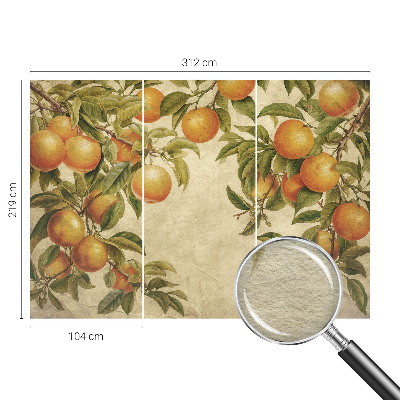 Vliesbehang fotobehang met een patroon van fruittakken