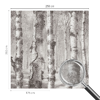 Muur behang Berkenbos