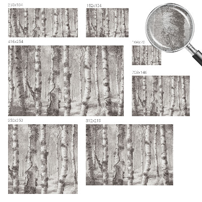 Muur behang Berkenbos