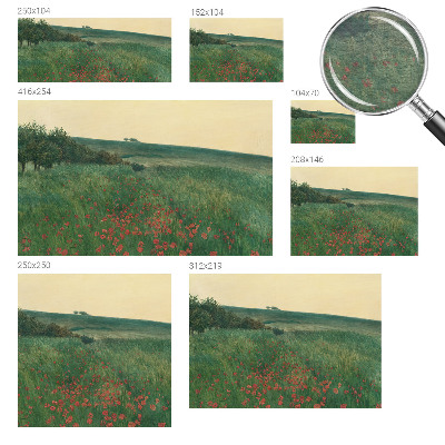 Fotobehang woonkamer Papavervelden