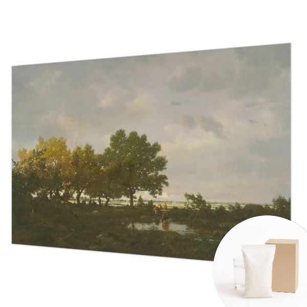 Fotobehang voor slaapkamer Boslandschap