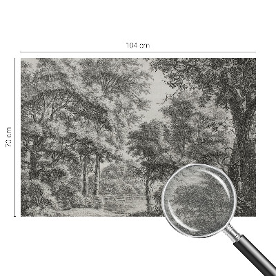 Luxe fotobehang met een boslandschap