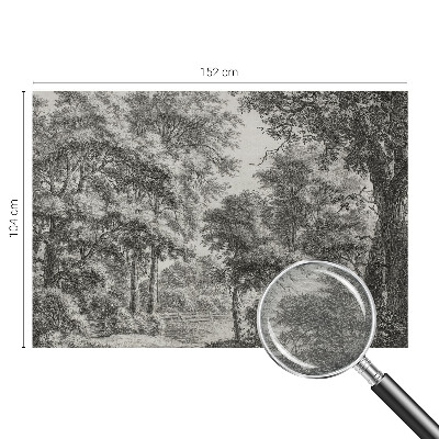 Luxe fotobehang met een boslandschap