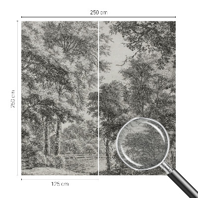 Luxe fotobehang Boslandschap