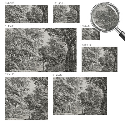 Luxe fotobehang met een boslandschap