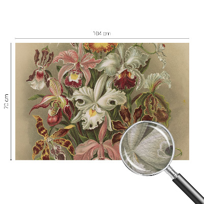 Behang met print Bloemige elegantie