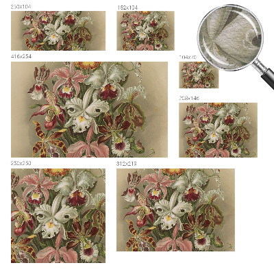 Behang met print Bloemige elegantie