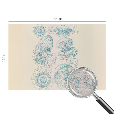 Fotobehang op maat Zeekwal