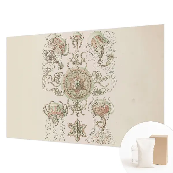 Foto behang op maat met een onderwaterwereld-design