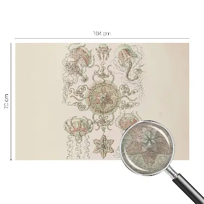 Foto behang op maat met een onderwaterwereld-design