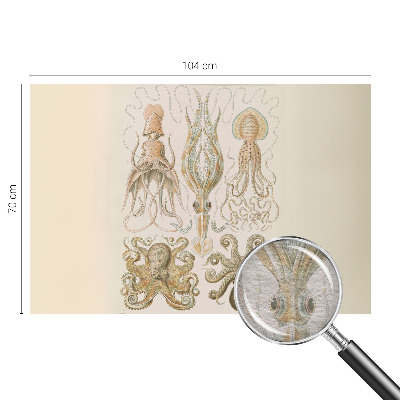 Fotobehang naadloos Zeeleven