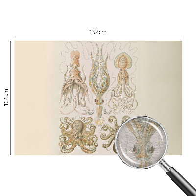 Fotobehang naadloos Zeeleven