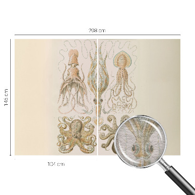 Fotobehang naadloos Zeeleven