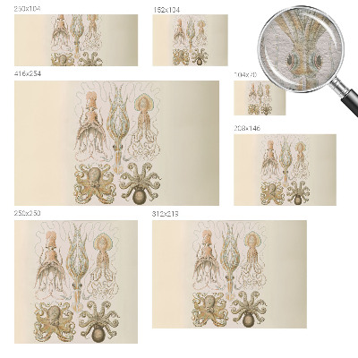 Fotobehang naadloos Zeeleven