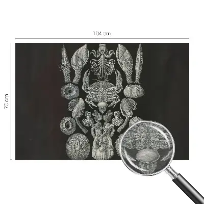 Naadloos fotobehang met onderwatervormen als print
