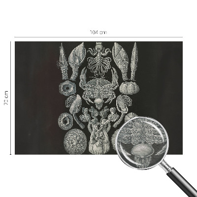 Naadloos fotobehang Onderwatervormen