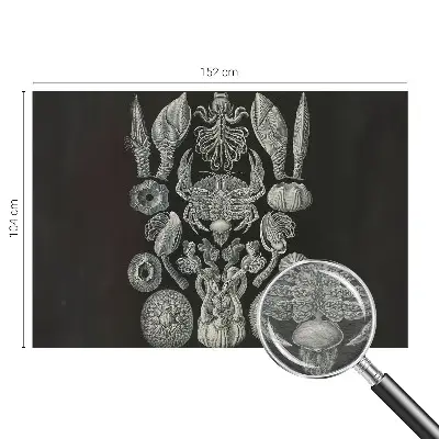 Naadloos fotobehang met onderwatervormen als print