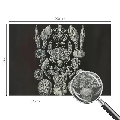 Naadloos fotobehang met onderwatervormen als print
