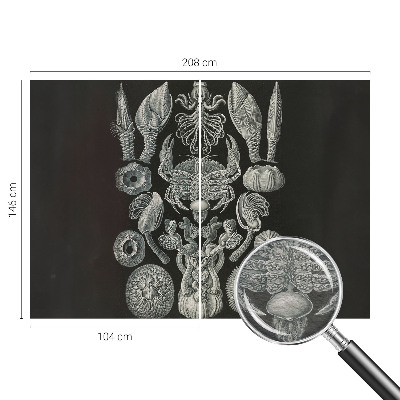 Naadloos fotobehang Onderwatervormen