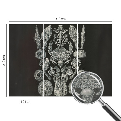 Naadloos fotobehang Onderwatervormen