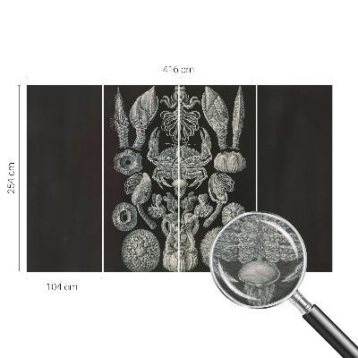 Naadloos fotobehang Onderwatervormen