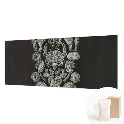 Naadloos fotobehang Onderwatervormen