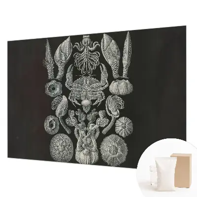 Naadloos fotobehang met onderwatervormen als print