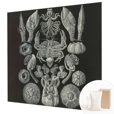 Naadloos fotobehang Onderwatervormen