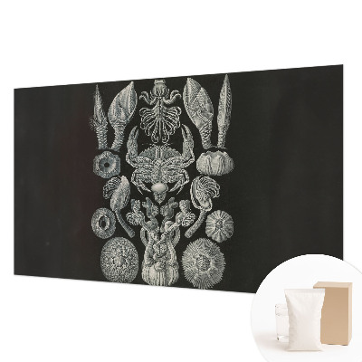 Naadloos fotobehang Onderwatervormen