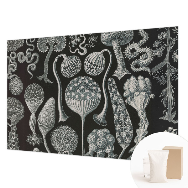 Fotobehang woonkamer met motief van magische planten
