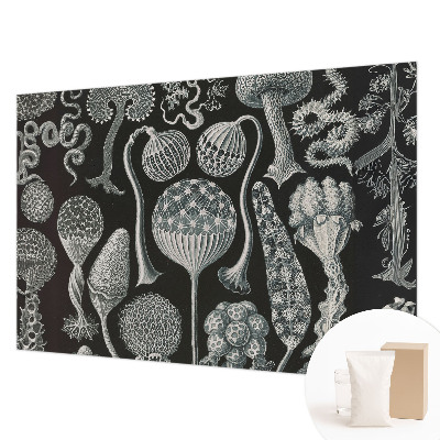 Fotobehang woonkamer met motief van magische planten
