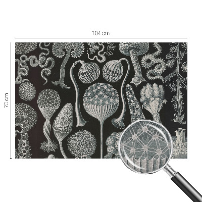 Fotobehang woonkamer met motief van magische planten