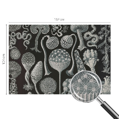 Fotobehang woonkamer met motief van magische planten