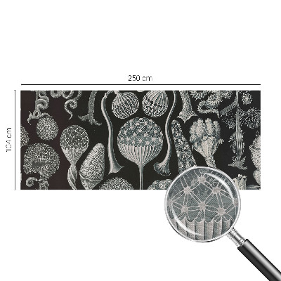 Fotobehang woonkamer met motief van magische planten