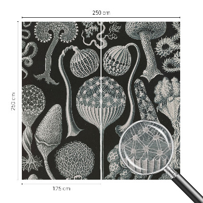 Fotobehang woonkamer Magische planten