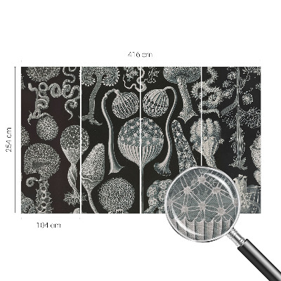 Fotobehang woonkamer Magische planten