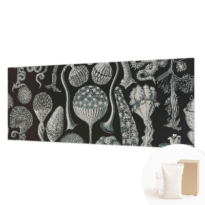 Fotobehang woonkamer Magische planten
