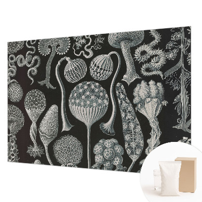 Fotobehang woonkamer met motief van magische planten